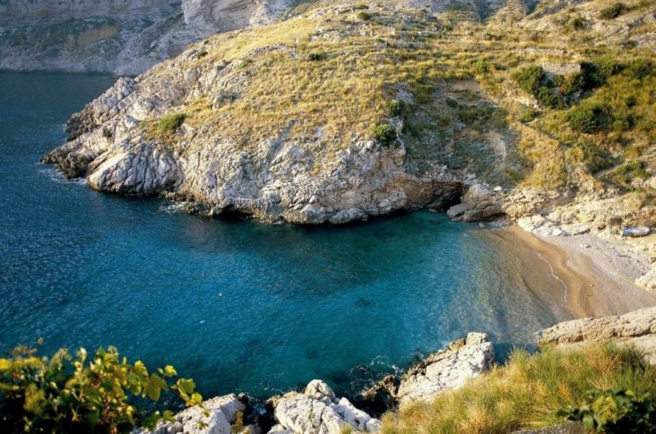 La zagara bianca Villa Massa Lubrense Bagian luar foto