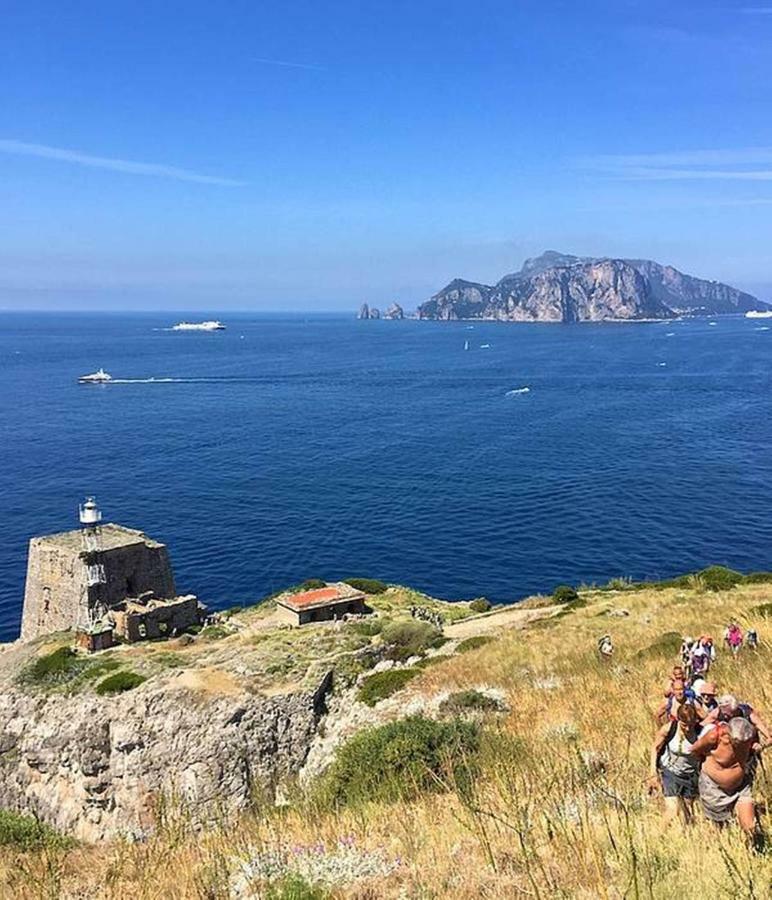 La zagara bianca Villa Massa Lubrense Bagian luar foto